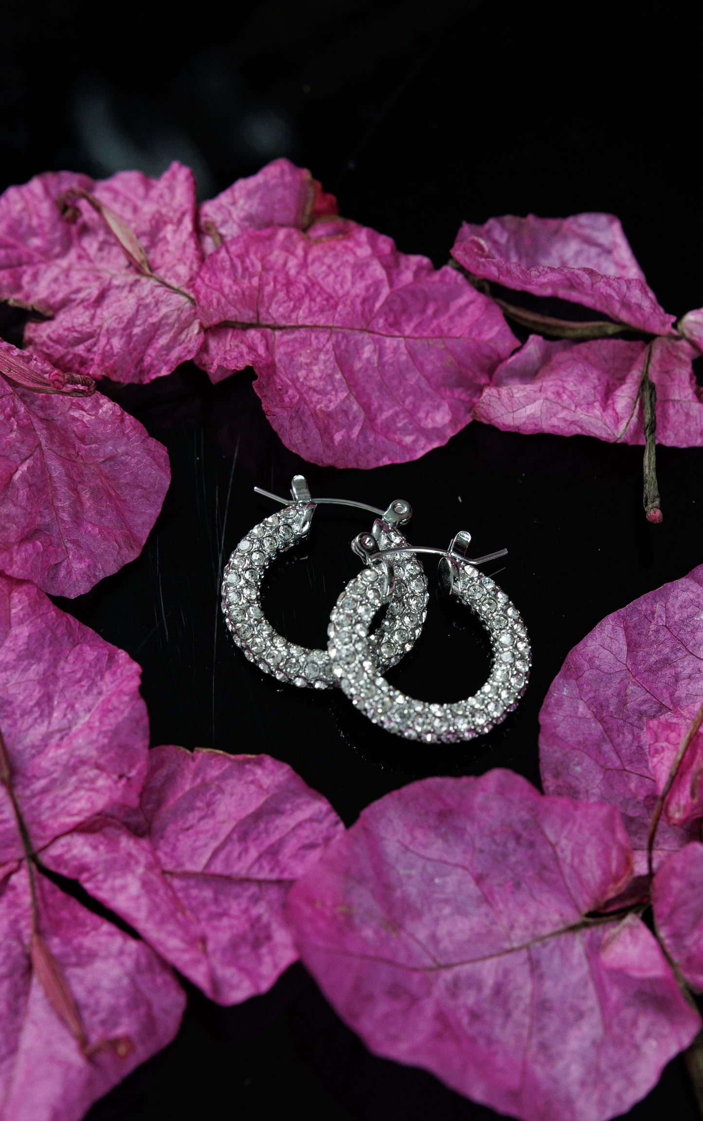 Luxury U-shaped Zircon Earrings