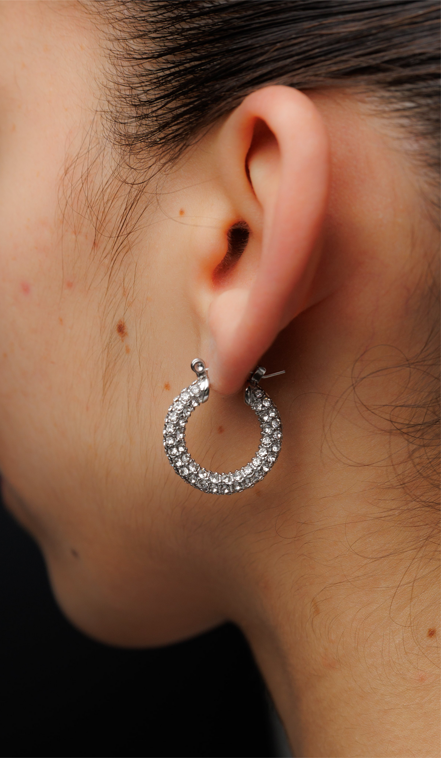 Luxury U-shaped Zircon Earrings