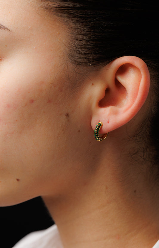 Zircon Loop ear-ring