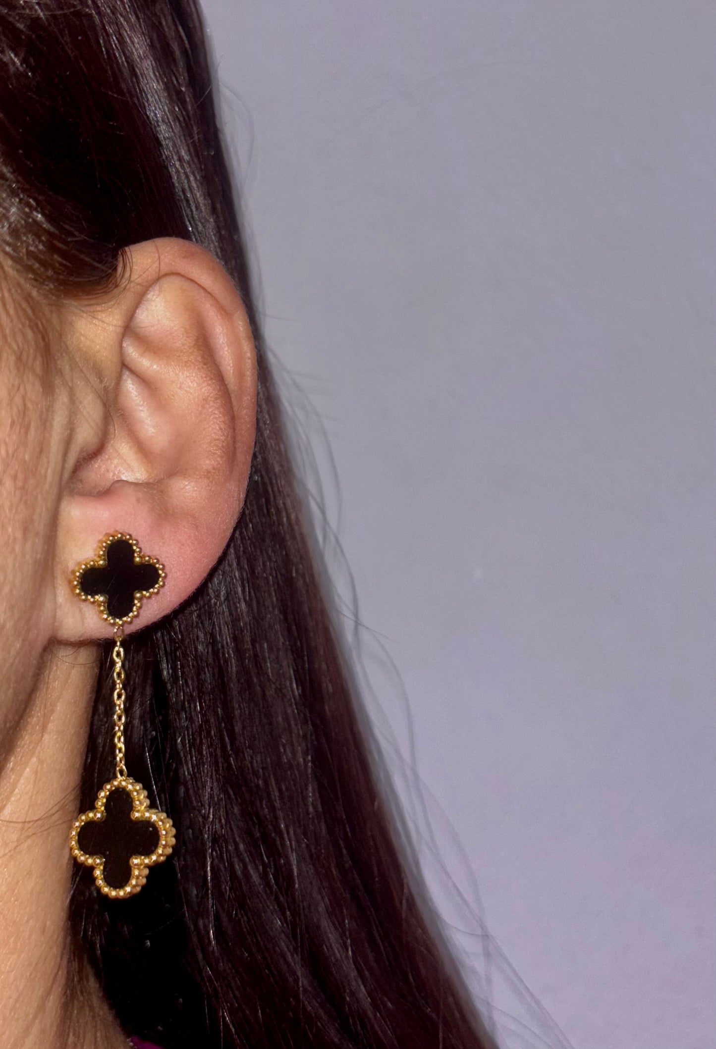 Introducing our exquisite stainless steel earrings